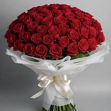Букет 101 Красная роза Блэк Мэджик в Старое Дрожжаное