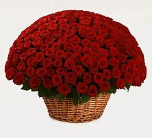 Премиум букет из: Розы в Старое Дрожжаное